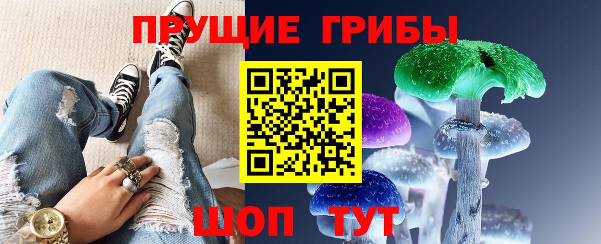 Галлюциногенные грибы Psilocybine cubensis Гусиноозёрск