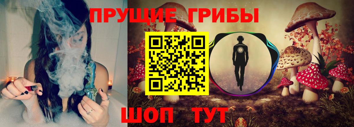 Псилоцибиновые грибы GOLDEN TEACHER  Вход с VPN  Гусиноозёрск 